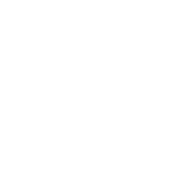 Team Envy