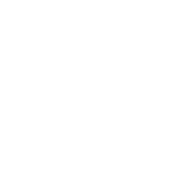 Saigon Secret
