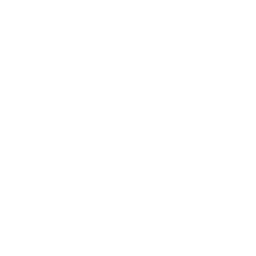 Team Secret Whales