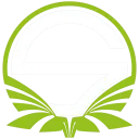 Team Singularity