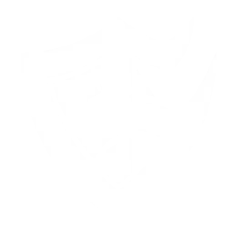 TEAM SOLID