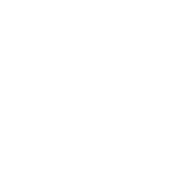 Team Spirit