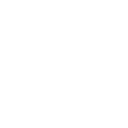TEAM WHALES