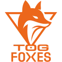 TeamOrangeGaming