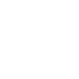 TSM