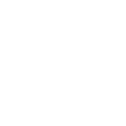 Valiance PRO GAME