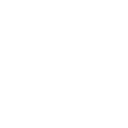 VES