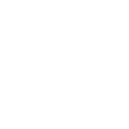 VES