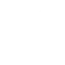 Vertex ESC