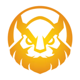 Vikings Esports (archived)