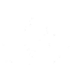 Vikings Gaming