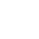 Vortex