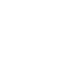 Vortex
