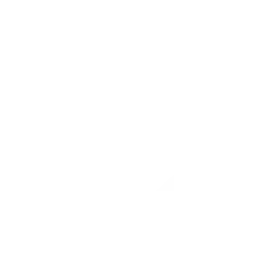 Wap Esports