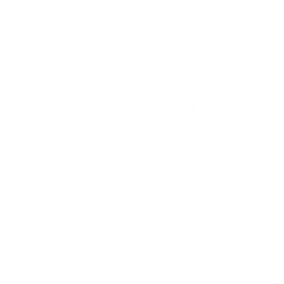 WE SCALIN
