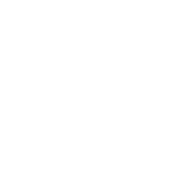 XtremeDominators