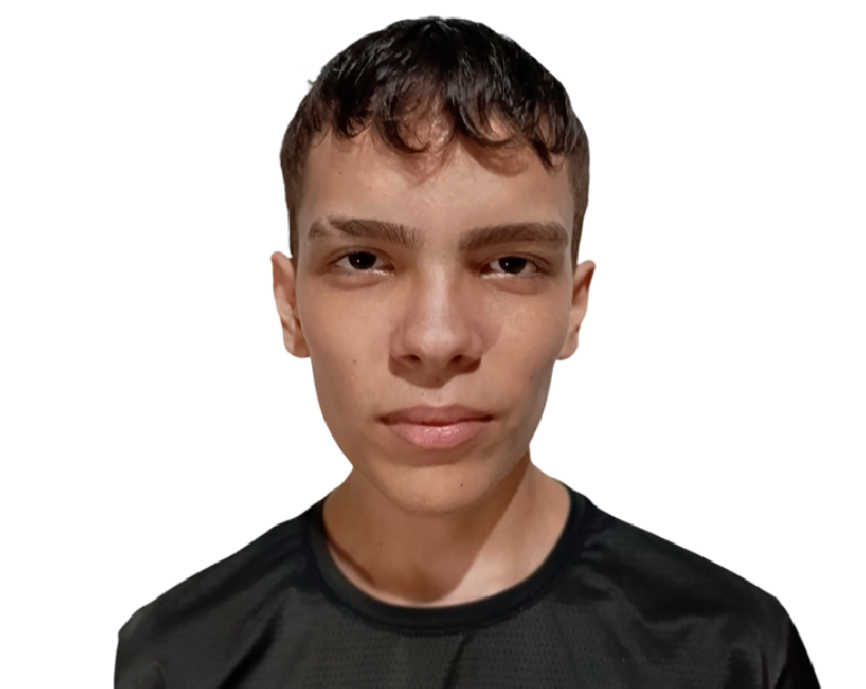 L1