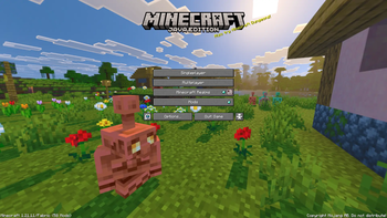 1.21.9 Panorama with Shaders