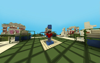 100Follower Bedwars pack!