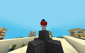 100Follower Bedwars pack!