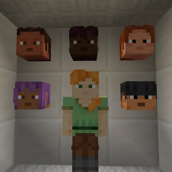 15 Year Old Minecraft Skins
