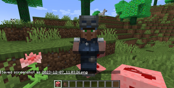 2 Sides Mod