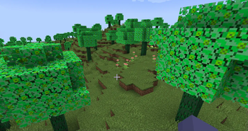 2 Sides Mod