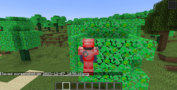 2 Sides Mod