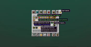 24w14картошка
