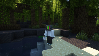 3D Buckets [optifine]