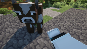 3D Buckets [optifine]