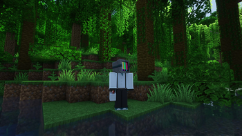 3D Buckets [optifine]