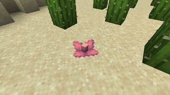 3D Cactus Flowers