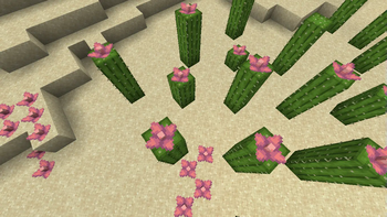 3D Cactus Flowers