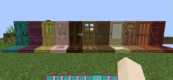 3D door and all