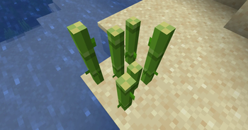 3D Model for Sugar Cane