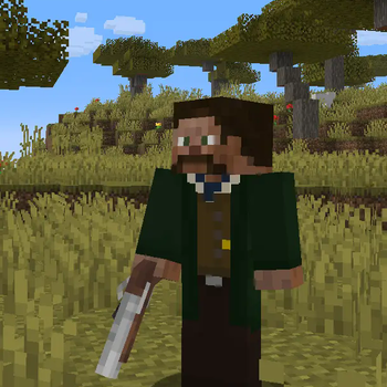 3D Muskets