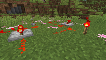 3D Particles