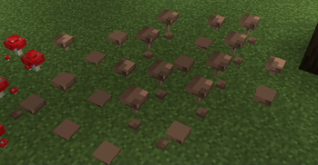 3Dshrooms
