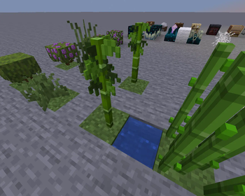 3D Vanilla