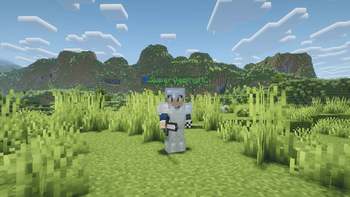 3rd life (recreation)