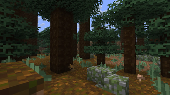 Vanilla 8x8