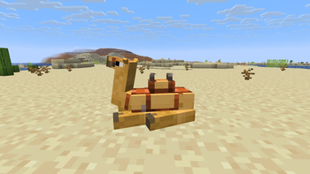 Vanilla 8x8