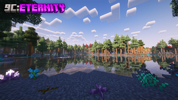 9C: Eternity