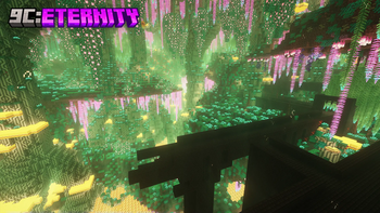 9C: Eternity