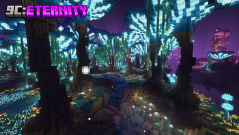 9C: Eternity
