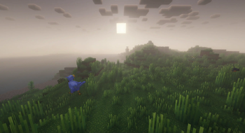 A Journey Beyond