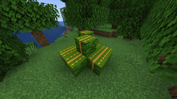 A_Shfox's Currency