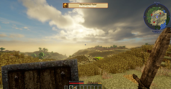 A True Adventure!