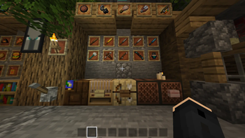 A_Villager_MC